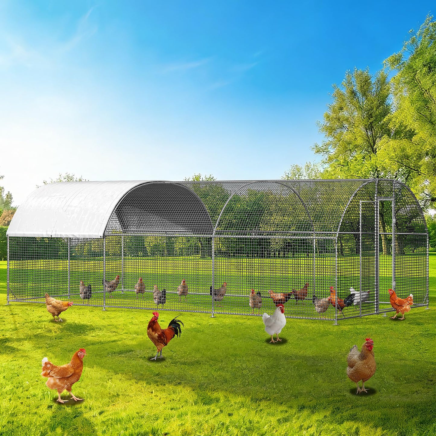 LEVELEVE Large Walk-in Chicken Coop with Chicken Run, Galvanized Poultry Enclosure with Waterproof Anti-UV Cover and Security Lock, Ideal for Rabbit, Duck, Backyard and Farm Yard, 19.7'x 9.8'x 6.6'