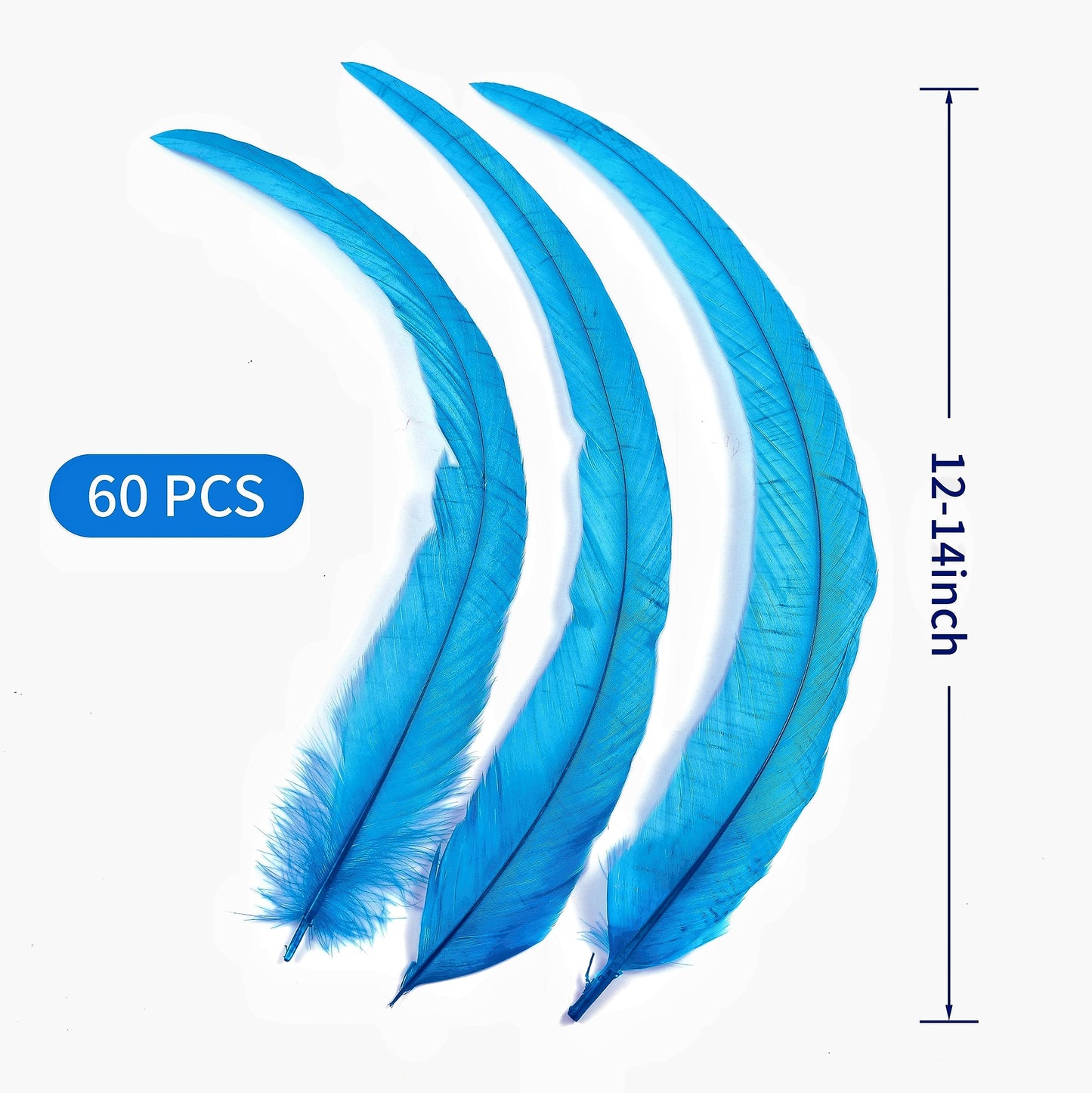 Holmgren Turquoise Rooster Tail Feathers - 60pcs 12-14inch Natural Long Rooster Tail Feathers Bulk for DIY Crafts Hats Costume and Holiday Themed Party Decoration (Turquoise)