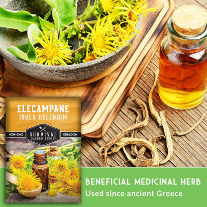 (1 Pack) Elecampane Seeds for Planting - Traditional Medicinal Herb (Inula helenium) with Tall Yellow Blooms