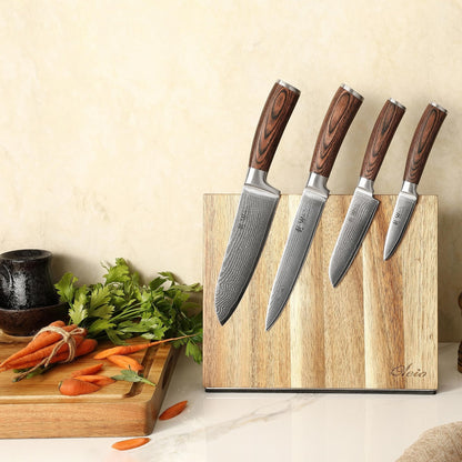 Wakoli EDIB 4-Piece Damascus Knife Block Set – Professional Kitchen Knives with Magnetic Acacia Block, 67-Layer Damascus Steel Blades and Ergonomic Pakkawood Handles – Premium Knife Set with Block