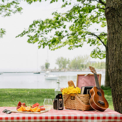 Wickerwise Gingham Lined Woodchip Picnic Basket with Lid and Movable Handles