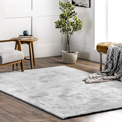 2' 3' Cozy nuLOOM x Plush SuperiorWash Area Rug, Machine Washable, Non-Slip, Soft Fluffy Shag Carpet for Living Room