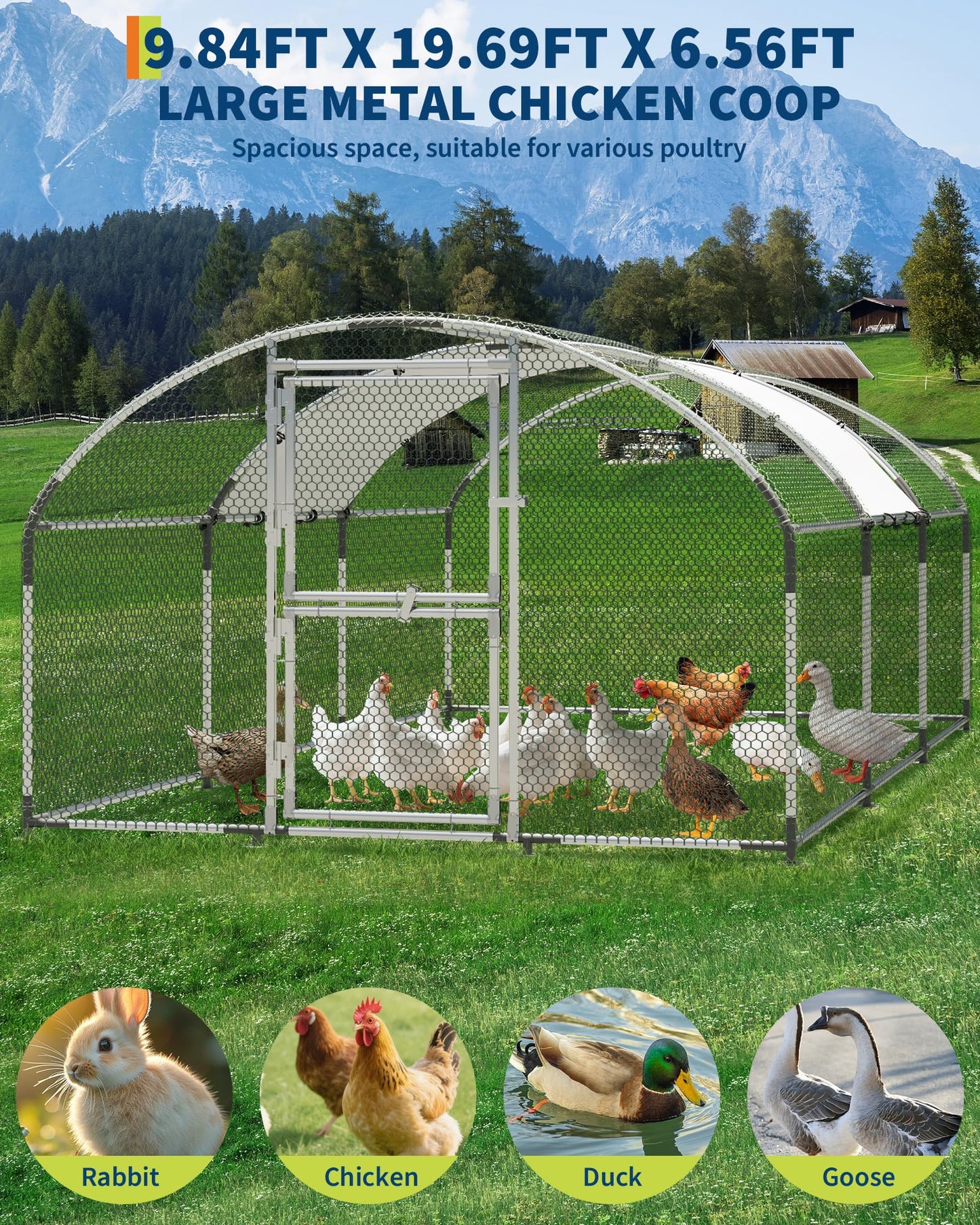 Heavy Duty Metal Chicken Coop with Split Door – Easy Feeding,9.8X 19.7X 6.6ft