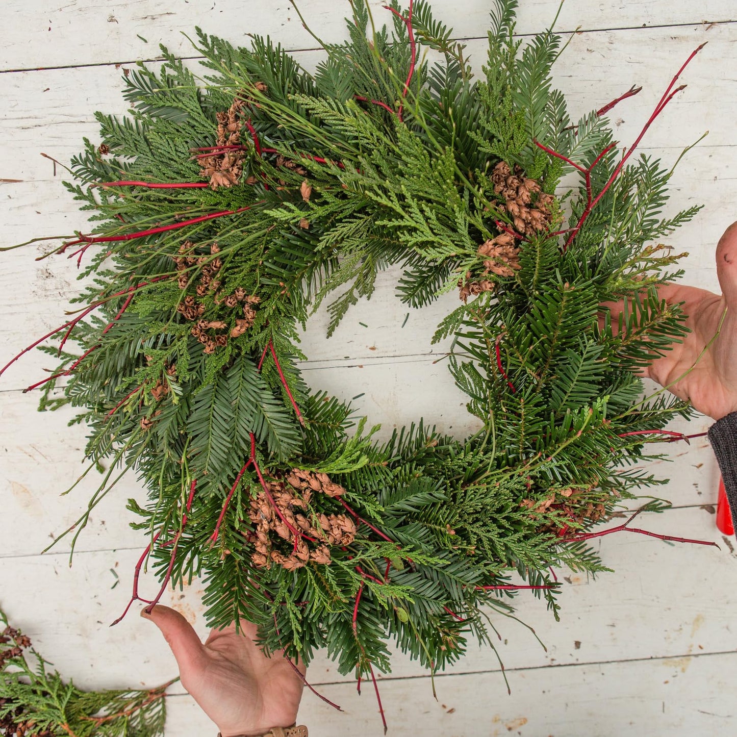 12 Inch Christmas Green Wire Wreath Frame,5 Pack Metal Front Door Wreath Round Form Iron Ring for Christmas, New Year Decors, Crafts, DIY, Holidays, Events