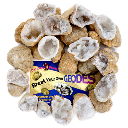 DANCING BEAR 25 Break Your Own Geodes, (Medium 1-1.5") 90% Hollow, Crack Open & Discover Amazing Surprise Crystals Inside! Educational Info and Instructions Included, Fun Party Favors & Prizes