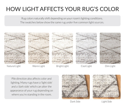 SAFAVIEH Hudson Shag Collection Area Rug - 10' x 14', Grey & Beige, Modern Trellis Design, Non-Shedding & Easy Care, 2-inch Thick Ideal for High Traffic Areas in Living Room, Bedroom (SGH281J)