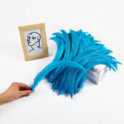 Holmgren Turquoise Rooster Tail Feathers - 60pcs 12-14inch Natural Long Rooster Tail Feathers Bulk for DIY Crafts Hats Costume and Holiday Themed Party Decoration (Turquoise)
