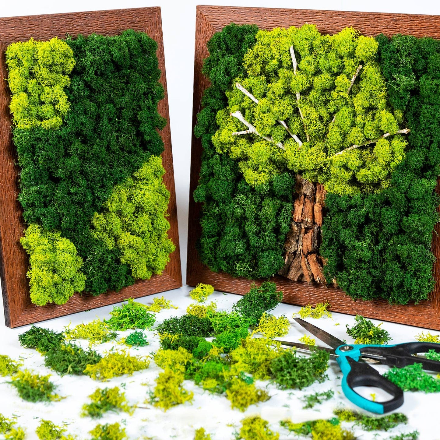 Jadive 21.2 oz Moss Preserved 1.32 Lbs Green Preserved Reindeer Moss Bulk Artificial Decorative DIY Kit for Craft Wall Decor Fairy Gardens Terrariums Art Project Table Floral Decor