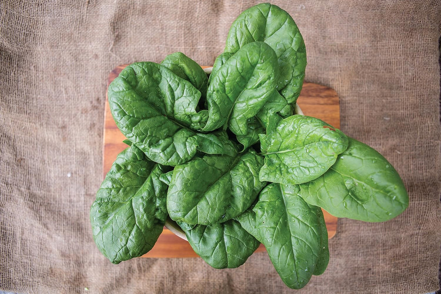 250 Burpee Persius Spinach Seeds seeds