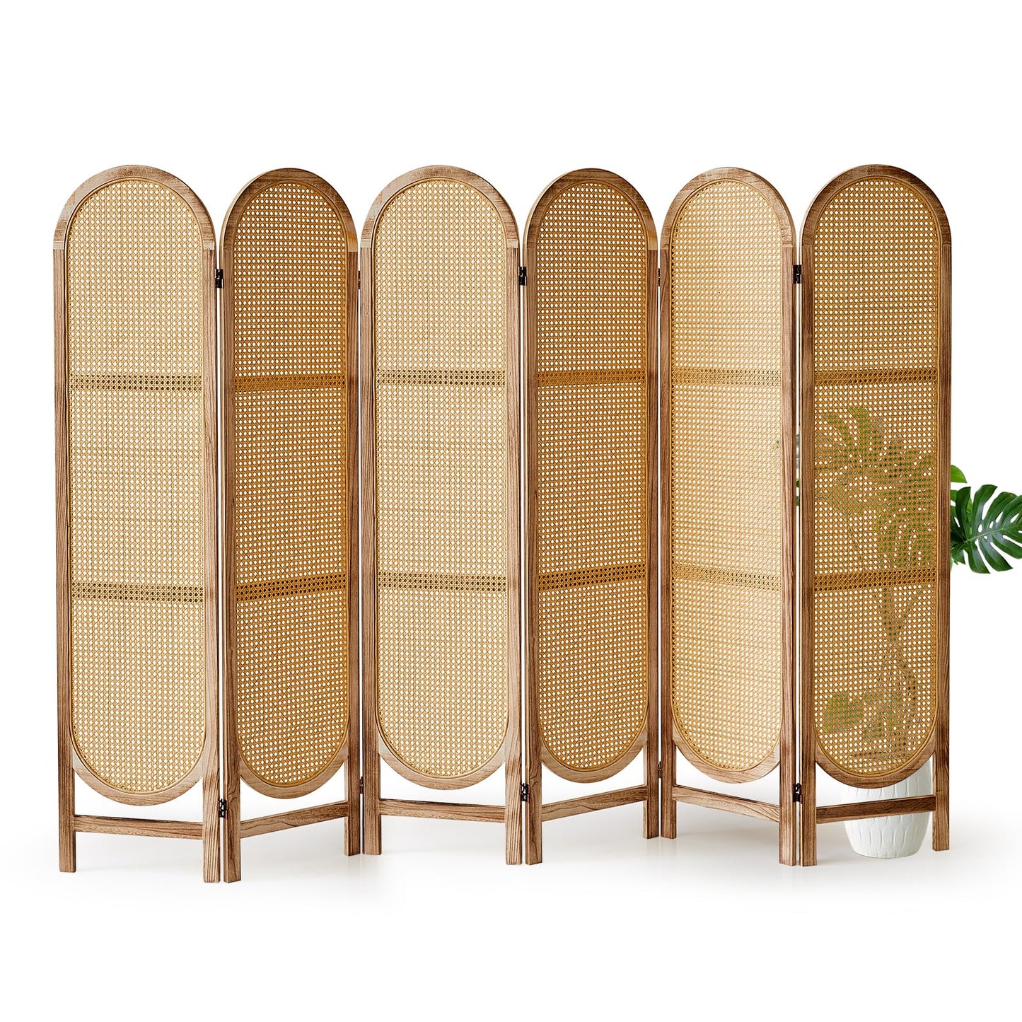 Aletheiawu Arched Rattan Room Divider 5.6 Ft Folding Privacy Screen, 6 Panel Freestanding Room Partition with Double Hinges, Lightweight Paulownia Wood Divider for Bedroom, Restaurant, Office, Natural