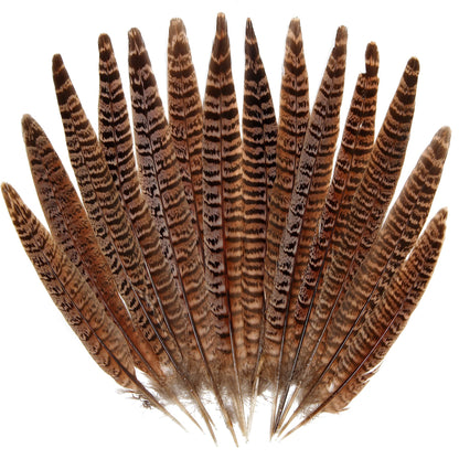 20pcs Female Pheasant Feather Natural Ringneck Tails Feathers 6-8inch 15-20cm for Crafts Home Wedding Party Performance DIY Decoration Pheasant Feather,Female Pheasant Feathers
