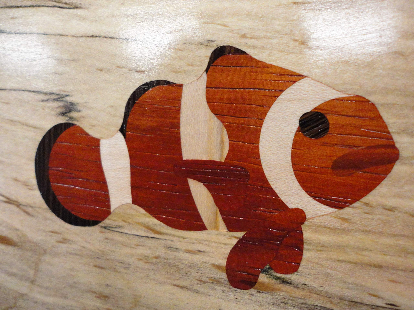 Clownfish - Acrylic Router Inlay Templates for Precise Wood Inlays, Designs by Tarter Woodworking (MLIS) Multiple Layer Inlay System, Guaranteed to Work with Router Inlay kit, Made in USA