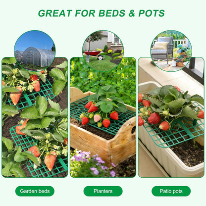 10 Pack, Strawberry Plant Support, Raised Grid Stand to Keep Strawberries Off the Ground, Strawberry Holder for Garden