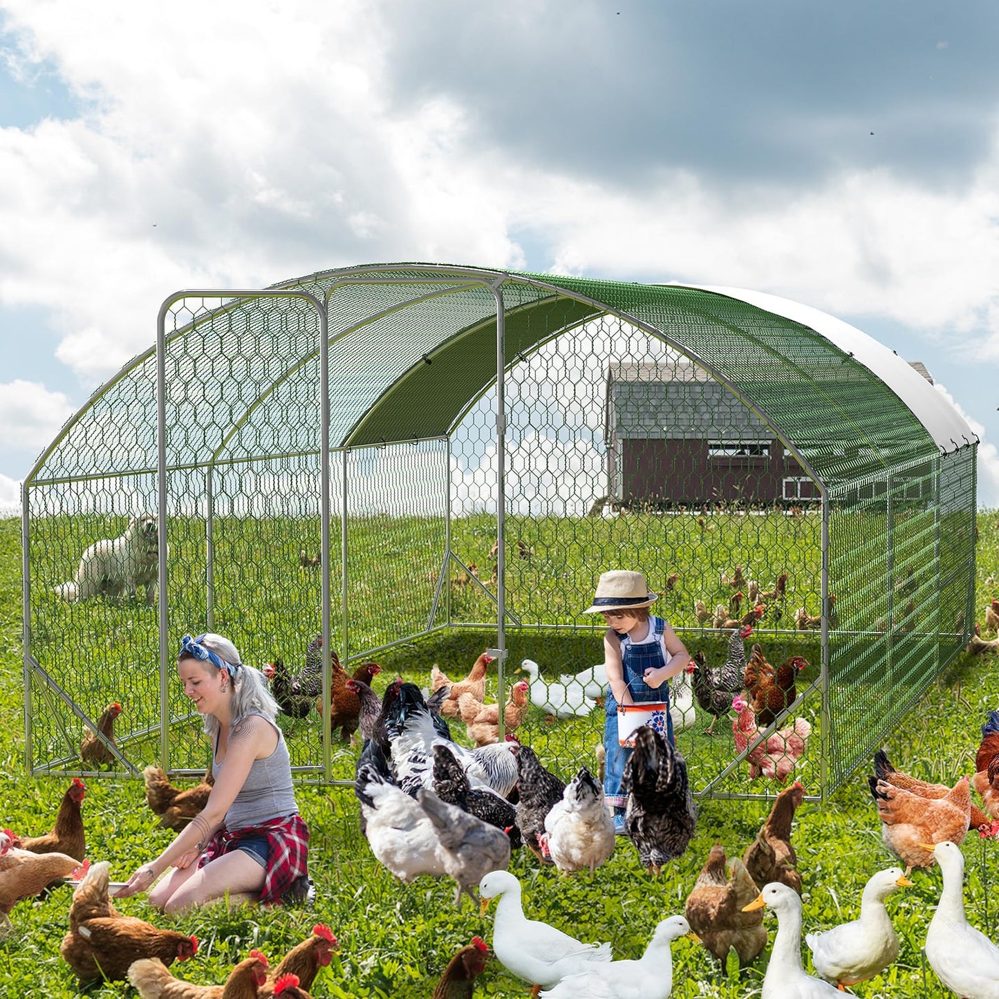 Milleloom Large Metal Chicken Coop, Outdoor Wire Mesh Poultry Cage with 4 Corner Reinforcement Ribs ((9.8' W x 19.7' L x 6.6' H)