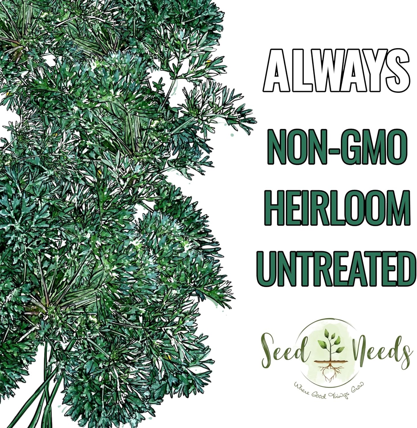 (1 Pack) Seed Needs Wormwood Seeds for Planting - Non-GMO, Heirloom & Untreated Perennial Herb - Medicinal Herbs