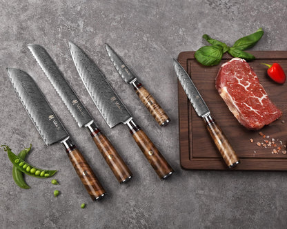 Wakoli Damascus Chef Knife Set with Magnetic Block – 5-Piece Professional Kitchen Knife Block Set, Genuine 67-Layer Damascus Steel Blades with VG10 Core & Ergonomic Sycamore Wood Handles