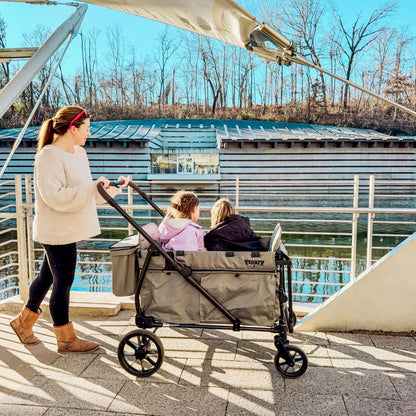 Keenz Viva 2-Passenger Compact Foldable Stroller Wagon with Canopy, Hybrid Push Pull Handle, EVA Wheels, and Storage – Lightweight Stroller Wagon for Toddlers and Kids, Green
