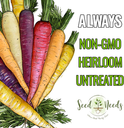 (5 Packs) Seed Needs Carrot Seeds for Planting Rainbow Carrots - Non-GMO Heirloom & Untreated Veggie Seed to Grow a