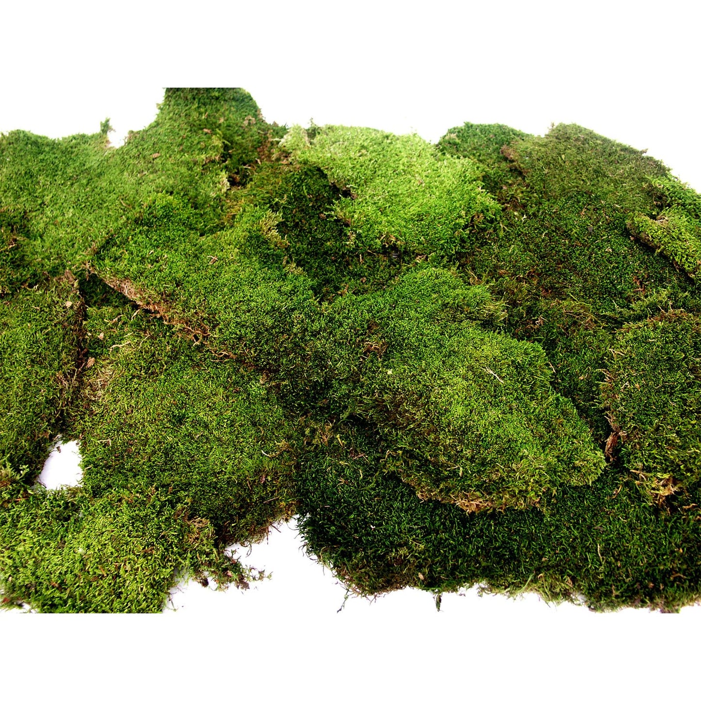 SuperMoss (21485) Sheet Moss – Flat Moss for Plants, Terrariums, Wedding Decor & Crafts, Safe, Non-Toxic, Long-Lasting Green Moss for Indoor Plants, Vivariums & Green Wall Art, 175 Cu. in., Preserved