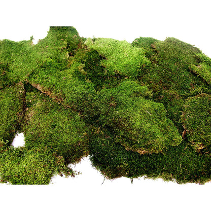 SuperMoss (21485) Sheet Moss – Flat Moss for Plants, Terrariums, Wedding Decor & Crafts, Safe, Non-Toxic, Long-Lasting Green Moss for Indoor Plants, Vivariums & Green Wall Art, 175 Cu. in., Preserved