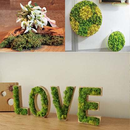 Gusaloo Preserved 5oz Moss Artificial Moss Natural Fresh Green Moss for Craft Handicraft Arts Floral Project Wall Decor Table Decor Wedding Centerpieces Garden Terrariums Decoration
