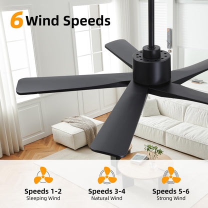 WINGBO 48" DC Ceiling Fan No Light - 5 Carved Solid Wood Blades, 6-Speed Reversible DC Motor, Ceiling Fan without Lights for Living Room Bedroom Kitchen Patio, Indoor and Outdoor, Matte Black