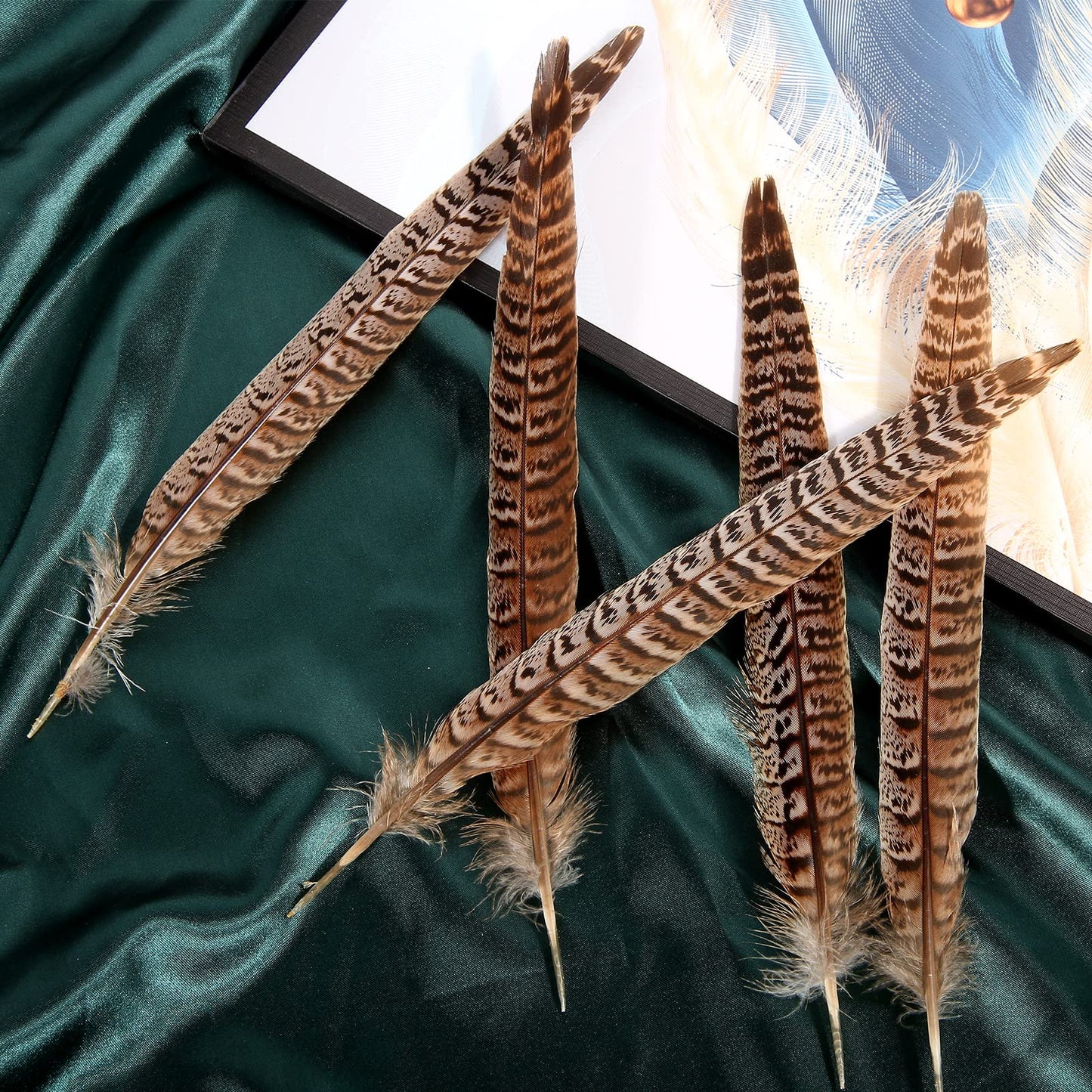THARAHT 24pcs Female Ringneck Pheasant Tails Feathers Natural Feathers 10-12inch 25-30cm for Crafts Home Wedding Party Performance DIY Decoration Female Pheasant Feathers