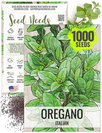 (1 Pack) Seed Needs Oregano Seeds for Planting Italian Herbs - Non-GMO Heirloom & Untreated Culinary Herb Seed - Grow