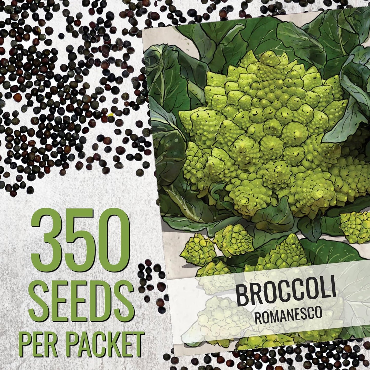 (1 Pack) Seed Needs Cauliflower Seeds for Planting Romanesco Broccoli/Cauliflowers - Non-GMO Heirloom & Untreated