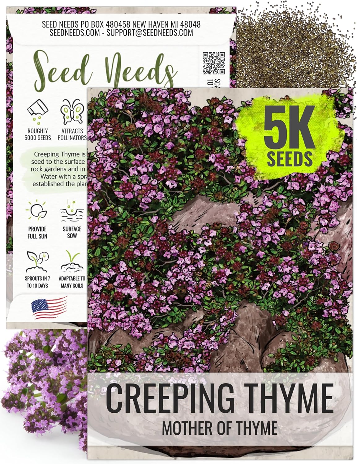 5,000 (1 Pack) Seed Needs, Mother of Thyme Creeping Thyme Seeds Seeds for Planting Thymus serpyllum - Perennial Flowers