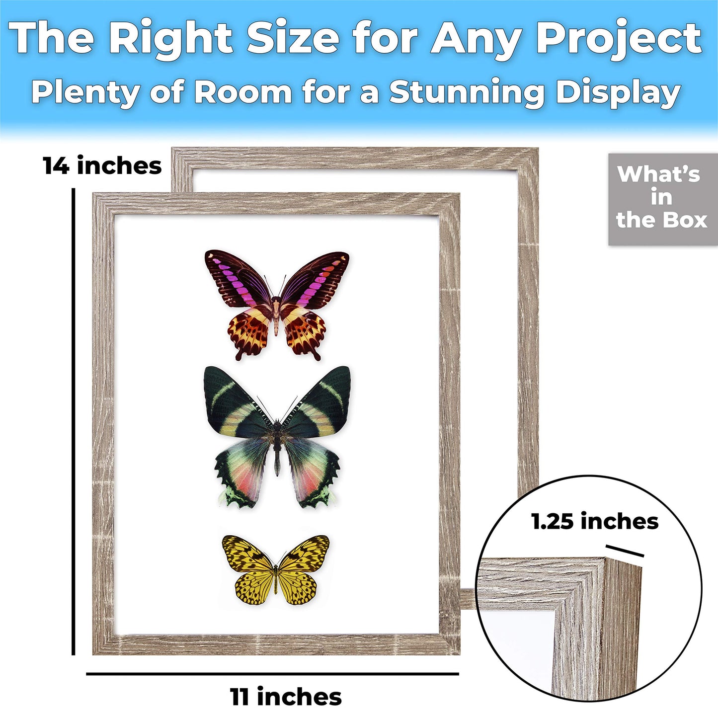 Super-Sturdy, 11x14 Gray Shadow Box Frame With Glass 2pk. Fill Large Rustic Wood Memory Box With Wedding Flowers, Jerseys, Pet Photos, Ticket Stubs, or Medals. Great Seashell Display Case