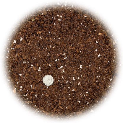 [2 Gardenera's Award-Winning Lemon Tree Soil Mix: The Ideal Choice for Healthy, Productive Citrus Trees - Quart Bag]