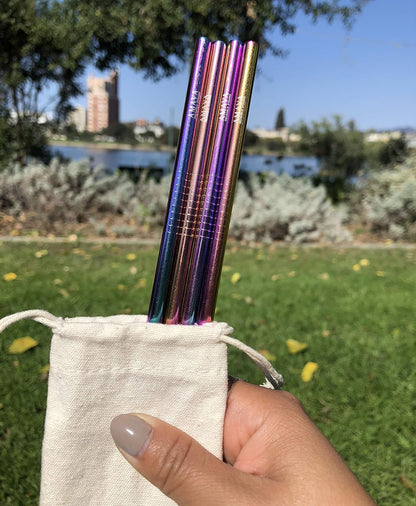 Reusable Straws Set, Stainless Steel Metal, Colorful, Includes 8 Straws, 4 Silicone Tips, 2 Cleaning Brushes, Travel