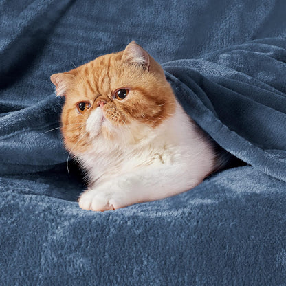 Bedsure GentleSoft Fleece Blanket - Twin Size Mineral Blue | 300GSM Lightweight Plush & Cozy 60x80 Inches