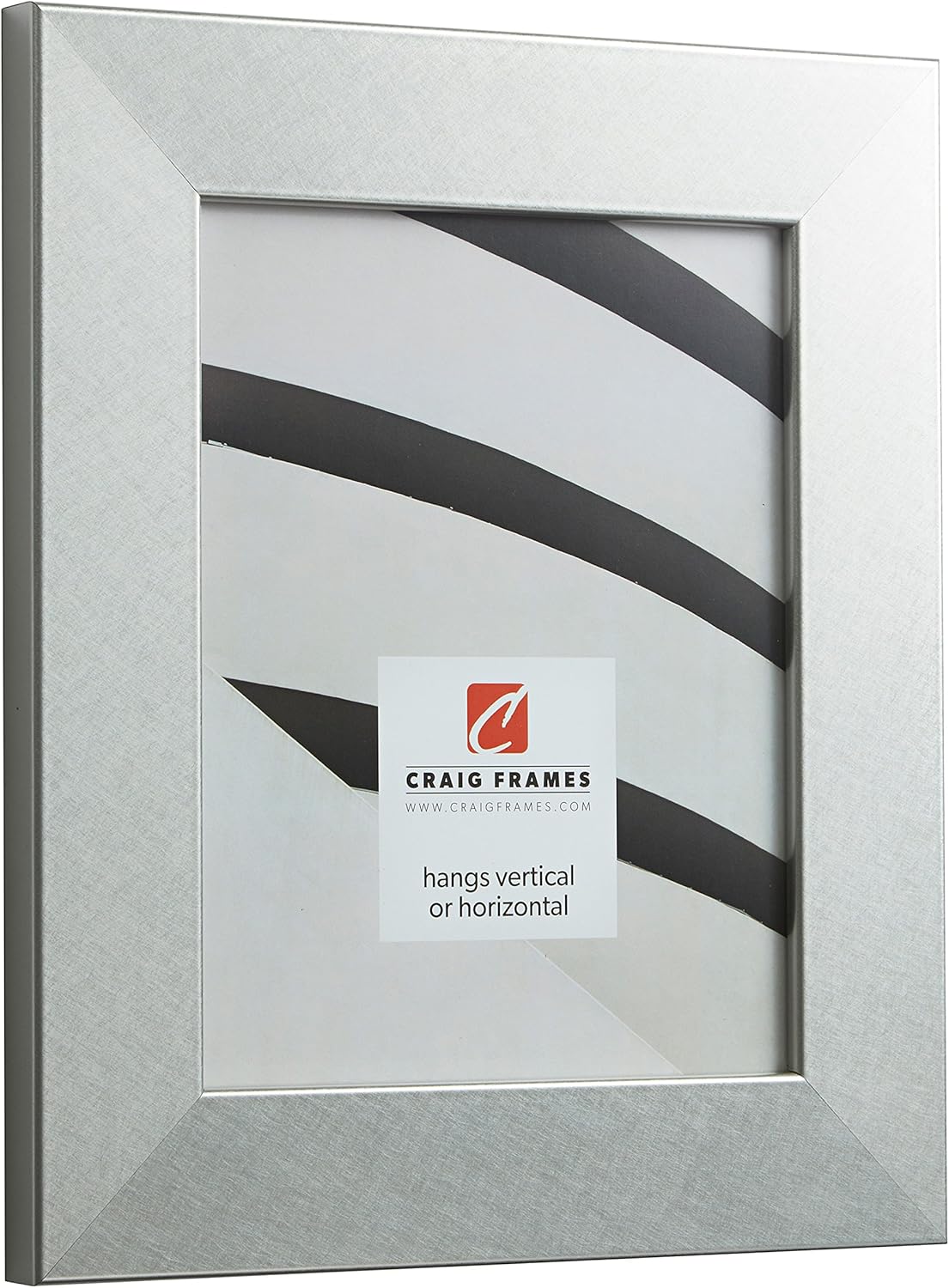 Craig Frames Bauhaus 200 Picture Frame, 10 x 12 Inch, Brushed Silver