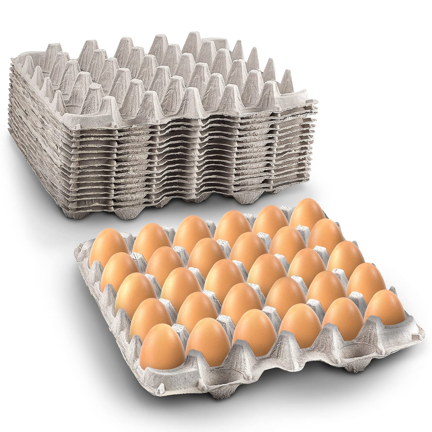 Biodegradable Pulp Fiber Egg Flats - 15 Pieces for Storing up to 30 Large or Small Eggs/Egg Crates That Make a Great Home for Roach Colony by MT Products