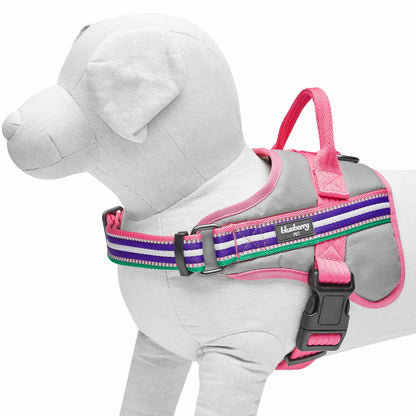 Blueberry Pet Soft 3M Reflective Dog Harness Vest | Mesh Padded No-Pull Harness with Back Clips | Multicolor Stripe in Pink, Emerald and Orchid| Adjustable for Large Dogs