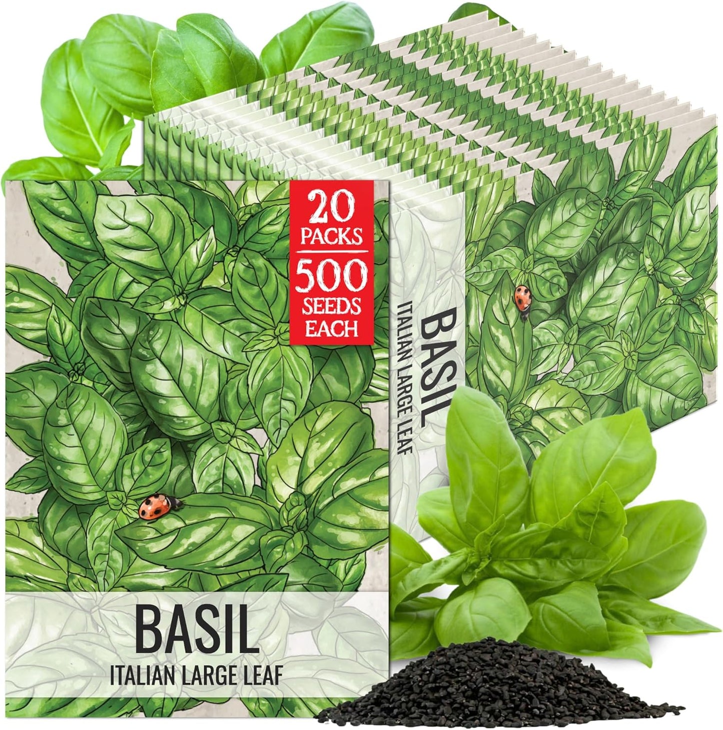(20 Packs) Seed Needs Basil Seeds for Planting Italian Large Leaf Herbs - Non-GMO Heirloom & Untreated - Grow an Indoor