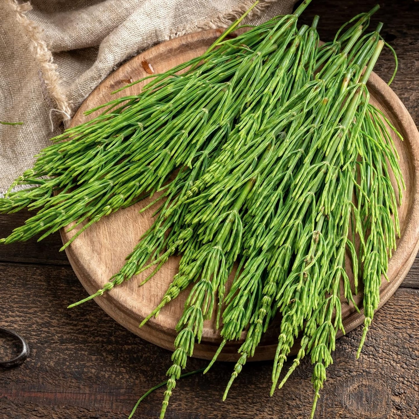 Horsetail 1lb Frontier Co-op Organic Cut & Sifted Herb