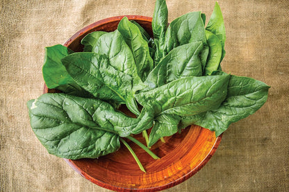 300 Burpee A La Carte Hybrid Spinach Seeds seeds