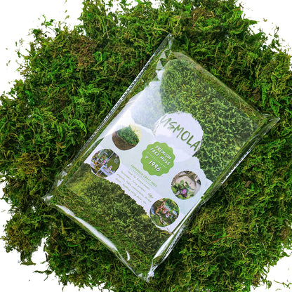 USMOLA Artificial Moss, 16OZ Fake Moss for Crafts Table Centerpieces Fairy Garden Wedding Party Decor, Faux Grass for Potted Plants, 455gr (Fresh Green)