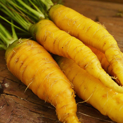150 Solar Yellow Carrot - Seeds - Heirloom & Open-Pollinated Variety, Non-GMO Vegetable Seeds for Planting Indoors
