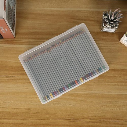BTSKY Clear Plastic Storage Box - Multipurpose Craft Organizer with Flap Lid | 2 Pack Medium