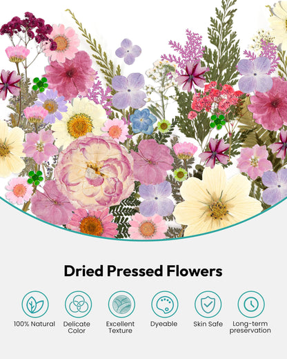 Dried Flowers, Resiners 100Pcs Pressed Flowers for Craft Baby Pink Real Natural Dried Flowers Dry Leaves Kit for DIY Making Crafts Resin Soap Candle Scrapbook Supplies Card Making Jewelry