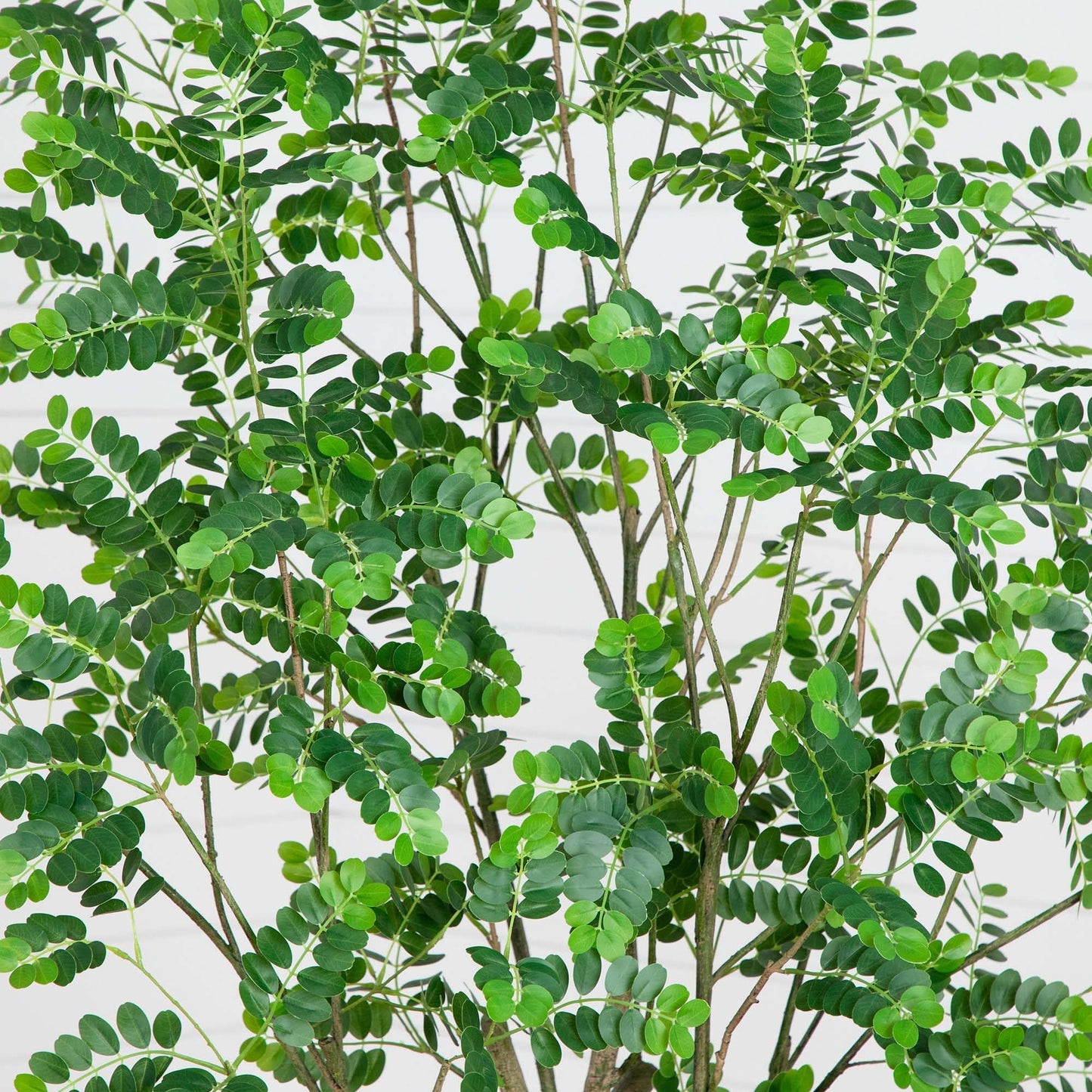 Nearly Natural 7ft. Artificial Greco Citrus Tree with Real Touch Leaves