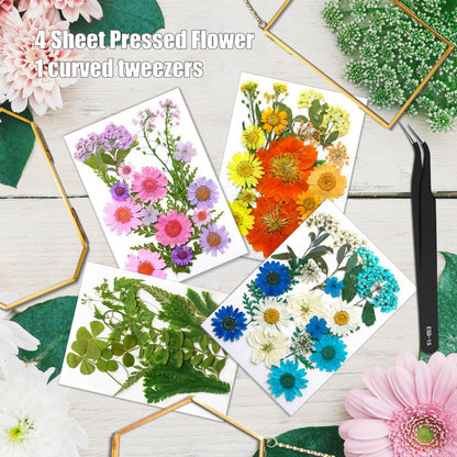 IcosaMro 3 Pack Double Glass Frame for Pressed Flowers 4"x 6" Adult Craft Kits with Brass Glass Frames & 4 Sheets Pressed Flower, Window Hanging Wall Decor Frame for Dried Flowers Leaves Plants