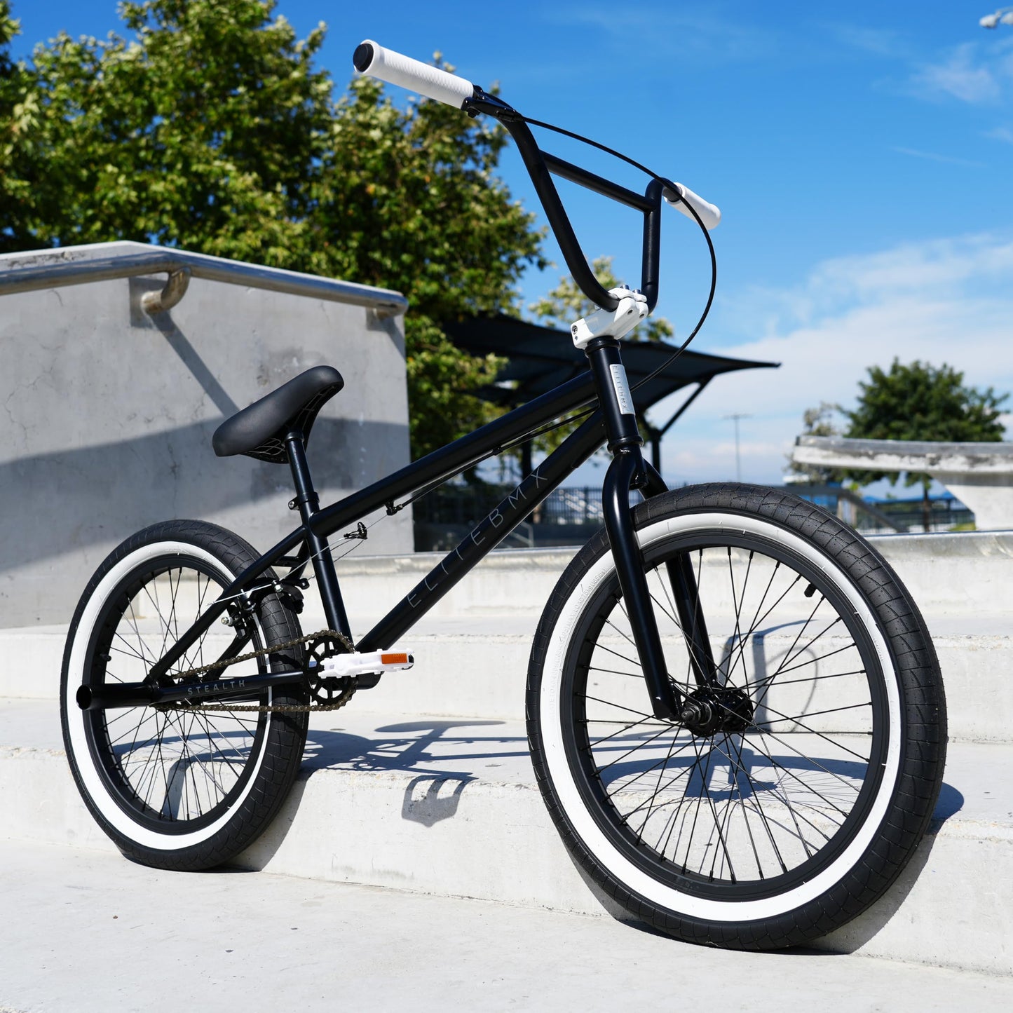 Elite BMX Freestyle Bike, Durable Steel Frame, Available in 16", 18", and 20" Sizes. New Sizes 26" and 29" BMX Bicycles. (Black White, 20")