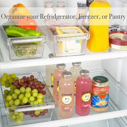 Kitchen Details 2 Pack Slim Refrigerator Storage Bin | Fridge & Freezer | Kitchen Organization | Stainless Steel Handle | Countertop | Cabinets | Pantry | Clear
