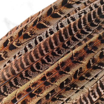 20pcs Female Pheasant Feather Natural Ringneck Tails Feathers 8-10inch 20-25cm for Crafts Home Wedding Party Performance DIY Decoration Pheasant Feather,Female Pheasant Feathers