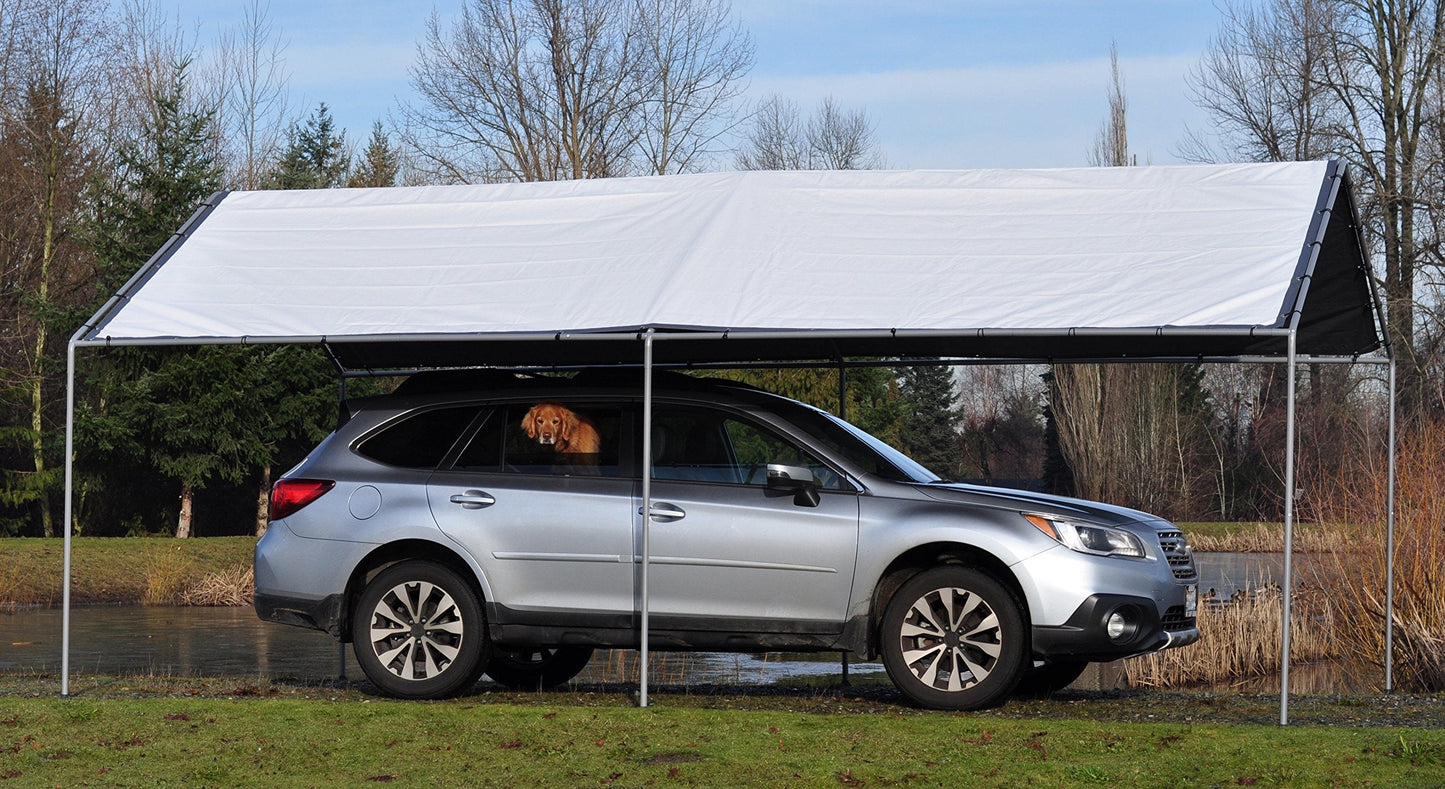 DRY TOP 73102 Canopy Set, 10' x 20', White